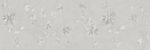 Dec._Arston_grigio