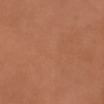 EMBER-cotto